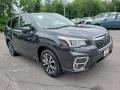 Dark Gray Metallic 2019 Subaru Forester 2.5i Limited Exterior