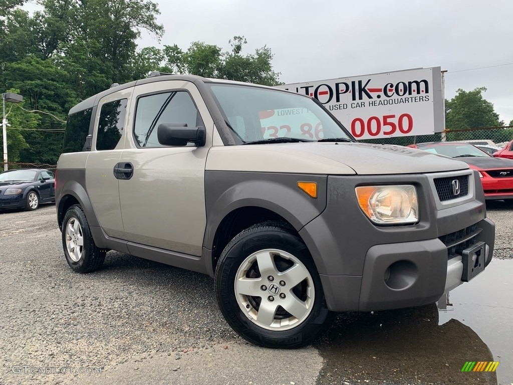 2004 Element EX AWD - Shoreline Mist Metallic / Black photo #1