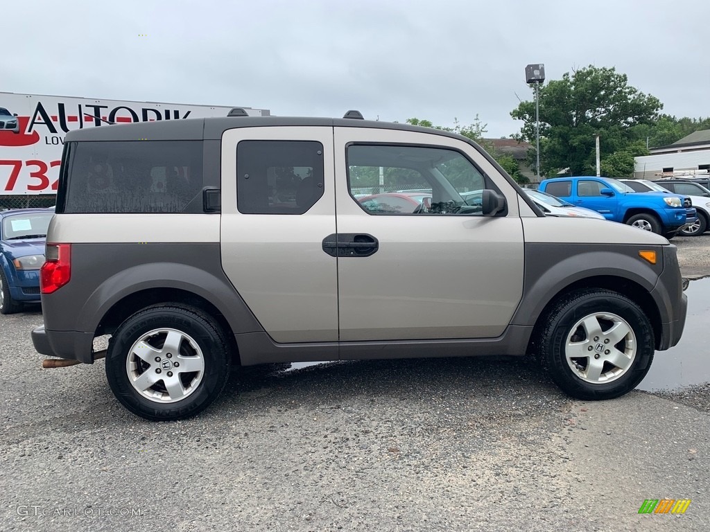 2004 Element EX AWD - Shoreline Mist Metallic / Black photo #2
