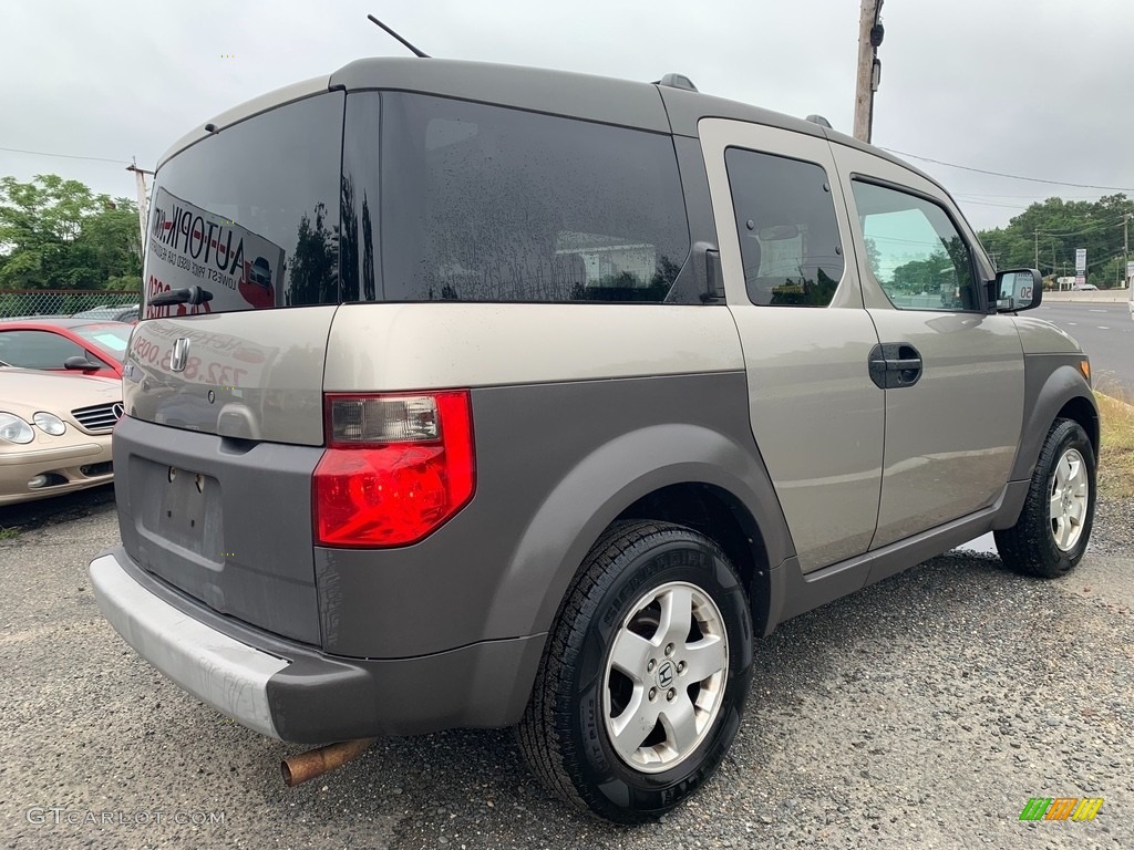2004 Element EX AWD - Shoreline Mist Metallic / Black photo #3