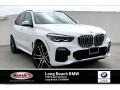Alpine White - X5 xDrive40i Photo No. 1