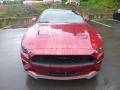 2019 Ruby Red Ford Mustang EcoBoost Fastback  photo #4