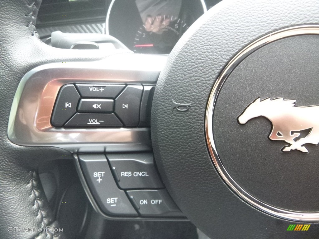 2019 Ford Mustang EcoBoost Fastback Ebony Steering Wheel Photo #133946815