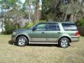 2004 Estate Green Metallic Ford Expedition Eddie Bauer  photo #3