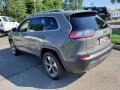 Sting-Gray - Cherokee Limited 4x4 Photo No. 4