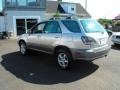 Millenium Silver Metallic - RX 300 Photo No. 9