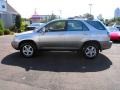 Millenium Silver Metallic - RX 300 Photo No. 10