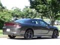 Granite Pearl - Charger GT Photo No. 3