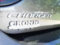 Granite Pearl - Charger GT Photo No. 8