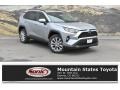 2019 Silver Sky Metallic Toyota RAV4 XLE AWD  photo #1