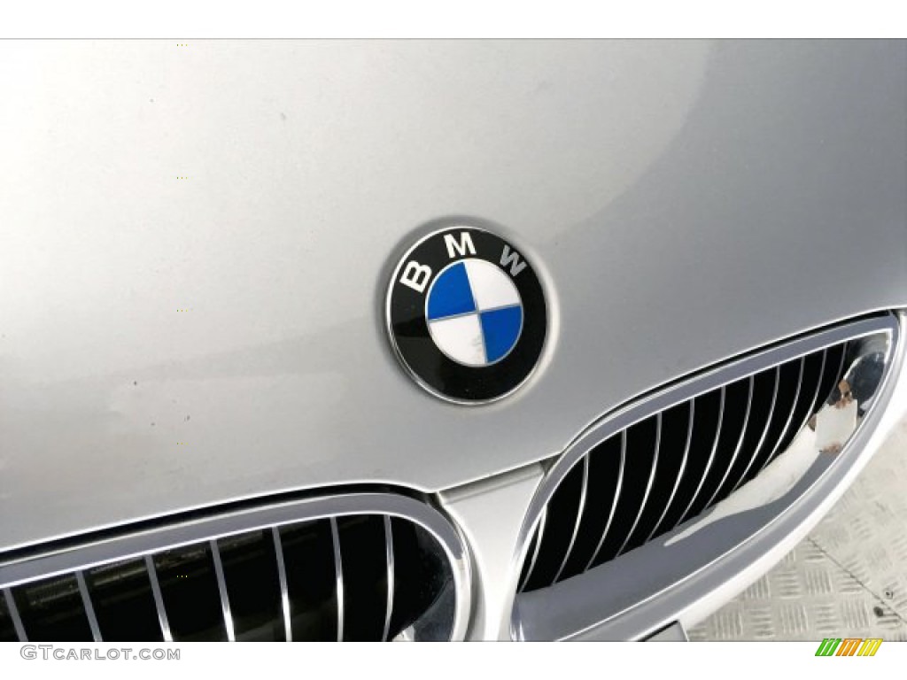 2009 5 Series 528i Sedan - Titanium Silver Metallic / Grey Dakota Leather photo #28