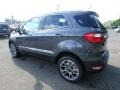 Smoke Metallic - EcoSport Titanium 4WD Photo No. 5