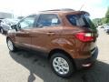 Canyon Ridge Metallic - EcoSport SE 4WD Photo No. 6