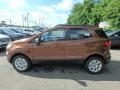Canyon Ridge Metallic - EcoSport SE 4WD Photo No. 7
