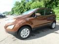 Canyon Ridge Metallic - EcoSport SE 4WD Photo No. 8