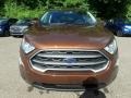 Canyon Ridge Metallic - EcoSport SE 4WD Photo No. 9