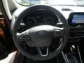 Canyon Ridge Metallic - EcoSport SE 4WD Photo No. 18