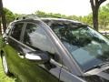 Crystal Black Pearl - RDX  Photo No. 17