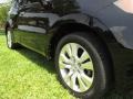 Crystal Black Pearl - RDX  Photo No. 38