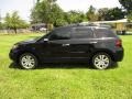 Crystal Black Pearl - RDX  Photo No. 53