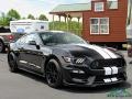 2019 Shadow Black Ford Mustang Shelby GT350  photo #7