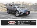 Magnetic Gray Metallic - RAV4 LE Photo No. 1