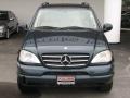 1999 Black Opal Metallic Mercedes-Benz ML 430 4Matic  photo #2