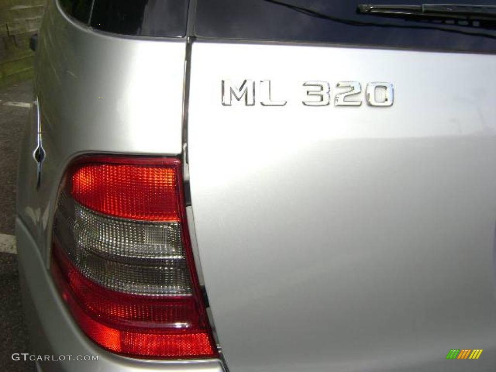 2000 ML 320 4Matic - Brilliant Silver Metallic / Charcoal photo #7