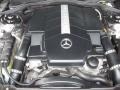 Pewter Silver Metallic - CL 500 Photo No. 6
