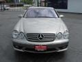 Pewter Silver Metallic - CL 500 Photo No. 7