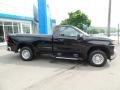 Black 2019 Chevrolet Silverado 1500 WT Regular Cab 4WD Exterior