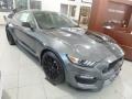 Magnetic - Mustang Shelby GT350 Photo No. 4
