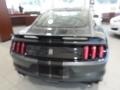 Magnetic - Mustang Shelby GT350 Photo No. 6