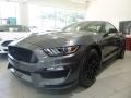 Magnetic - Mustang Shelby GT350 Photo No. 9