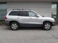 2006 Pewter Hyundai Santa Fe GLS  photo #2