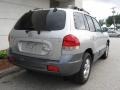 2006 Pewter Hyundai Santa Fe GLS  photo #3