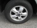 2006 Pewter Hyundai Santa Fe GLS  photo #5