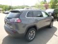 Sting-Gray - Cherokee Latitude Plus 4x4 Photo No. 5