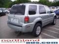 Light Tundra Metallic - Mariner Luxury 4WD Photo No. 4