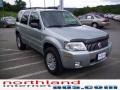 Light Tundra Metallic - Mariner Luxury 4WD Photo No. 5