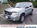 Light Tundra Metallic - Mariner Luxury 4WD Photo No. 7