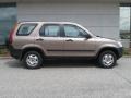 Mojave Mist Metallic - CR-V LX 4WD Photo No. 2