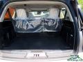 White Platinum Metallic Tri-Coat - Expedition Platinum 4x4 Photo No. 14