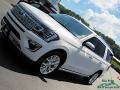 White Platinum Metallic Tri-Coat - Expedition Platinum 4x4 Photo No. 35