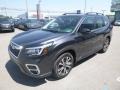 Dark Gray Metallic 2019 Subaru Forester 2.5i Limited Exterior