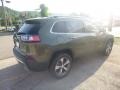 2019 Olive Green Pearl Jeep Cherokee Limited 4x4  photo #6