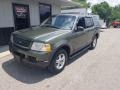 2003 Aspen Green Metallic Ford Explorer XLT 4x4  photo #8