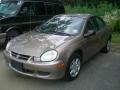 2002 Light Almond Pearl Metallic Dodge Neon SE  photo #3