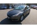 Magnetic - Focus SE Sedan Photo No. 3