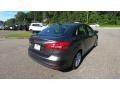 Magnetic - Focus SE Sedan Photo No. 7